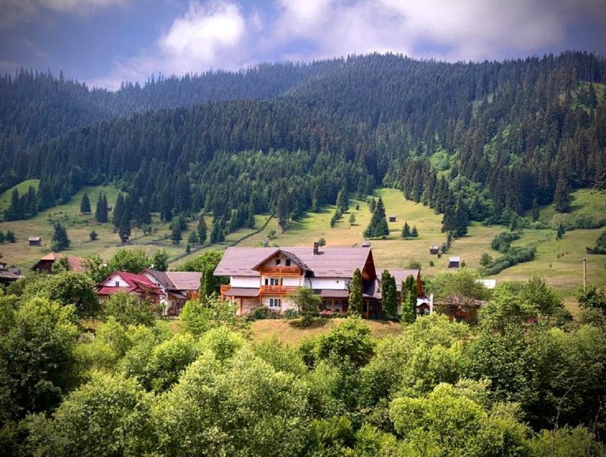Pensiunea Casa-Stefanel Sadova  Esterno foto
